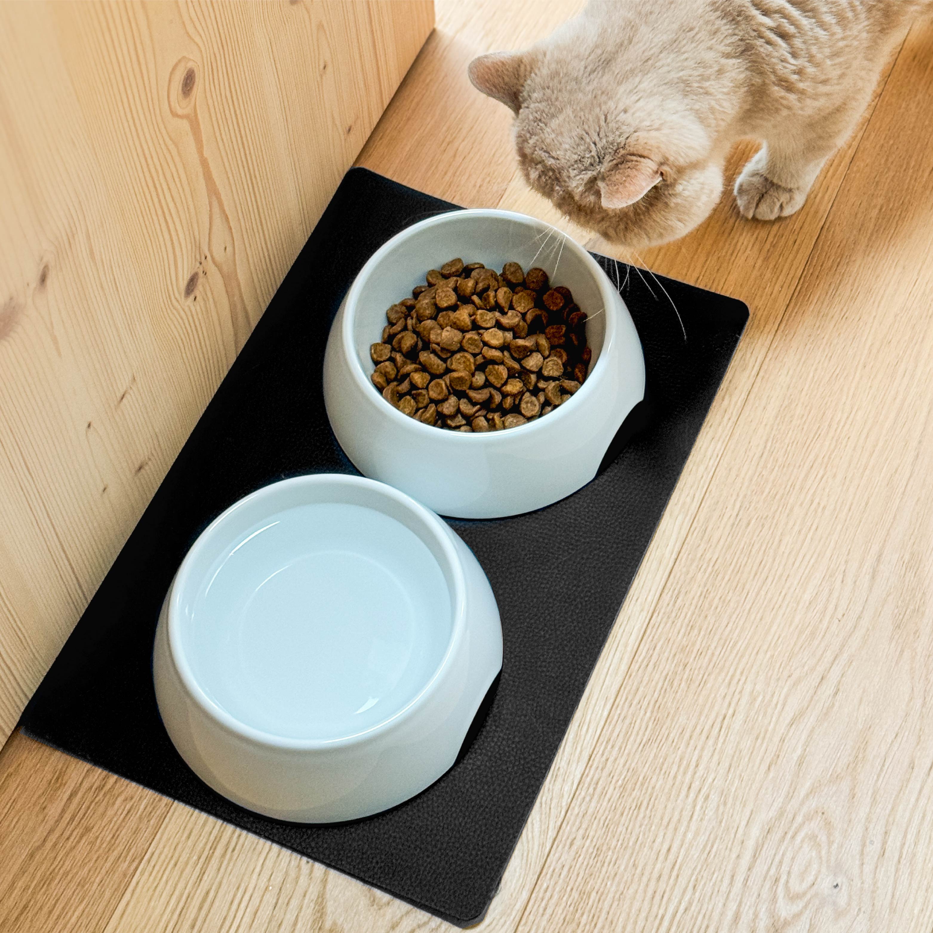 Futternapfset mit Katze