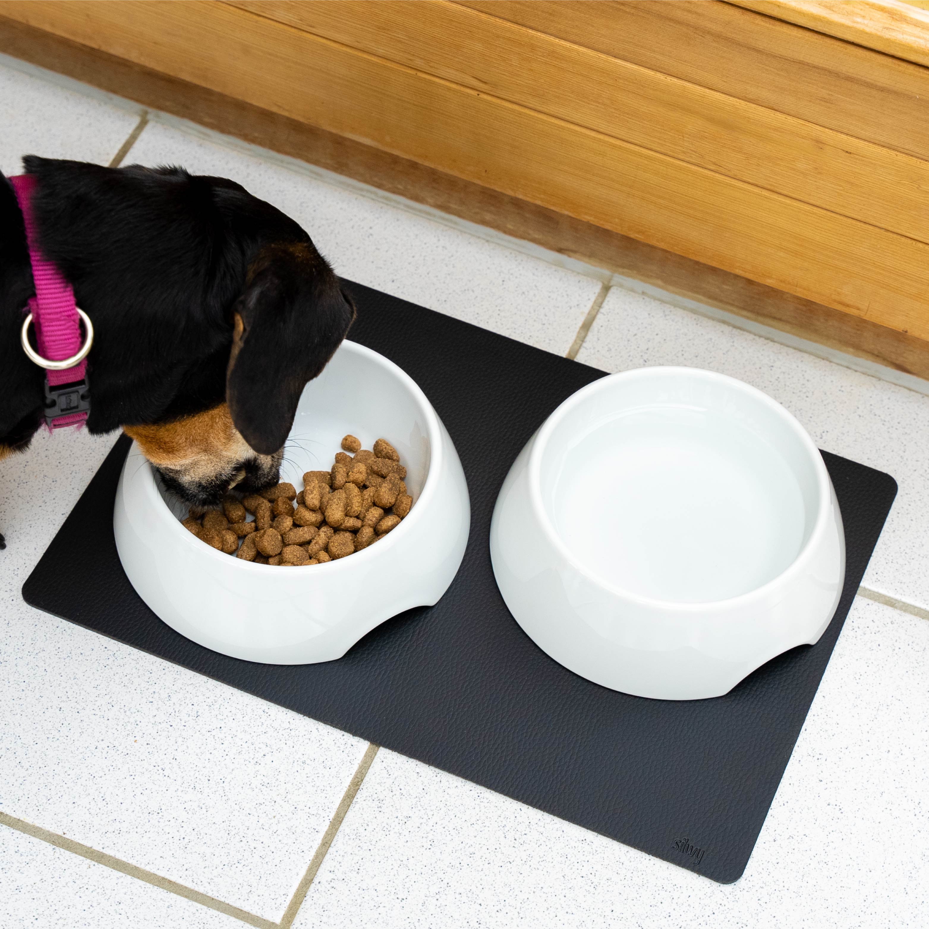 Hund isst aus Porzellannapf mit Magnet, der durch metallische Matte fixiert wird