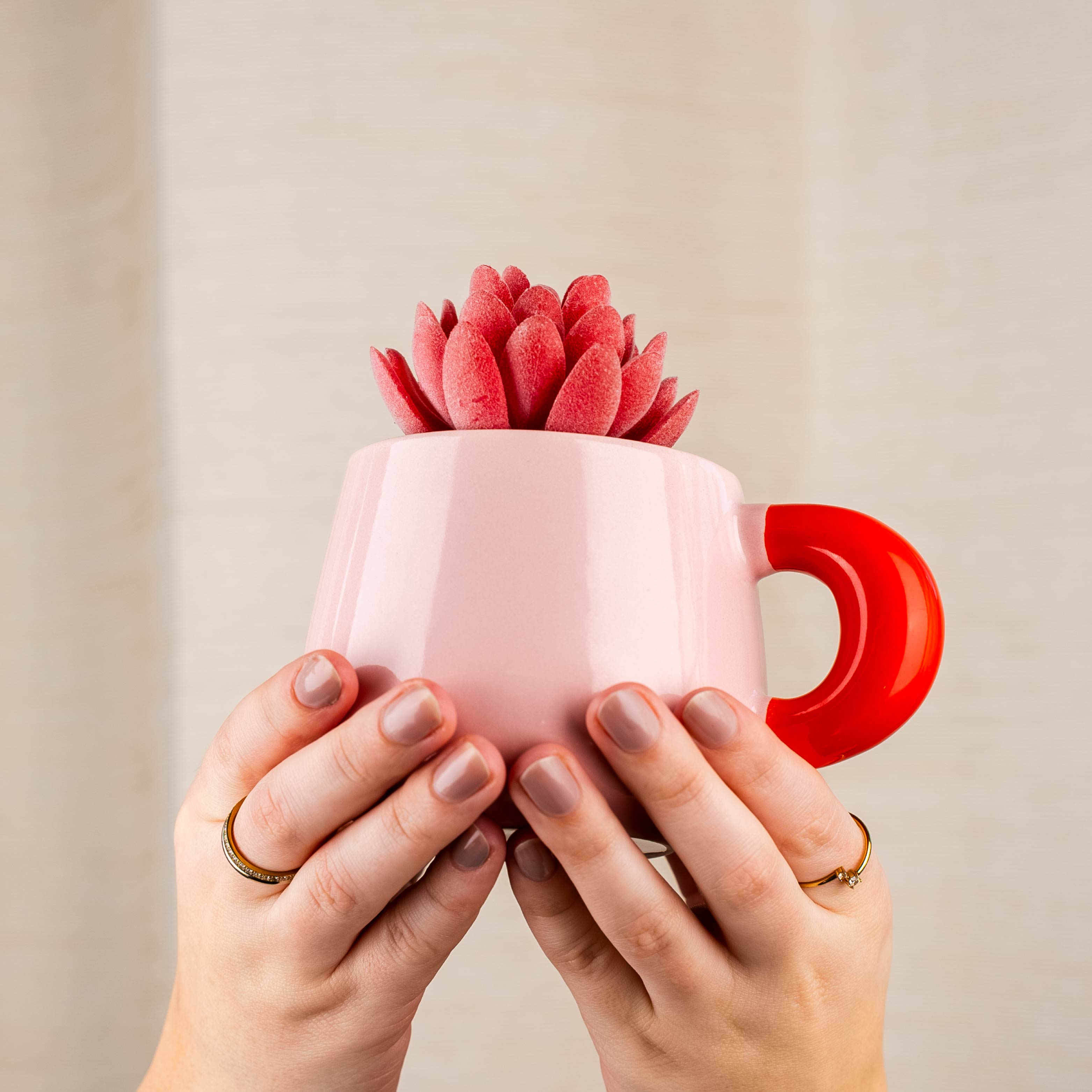 Magnet-Henkel-Potts SORBET D'ÉTÉ