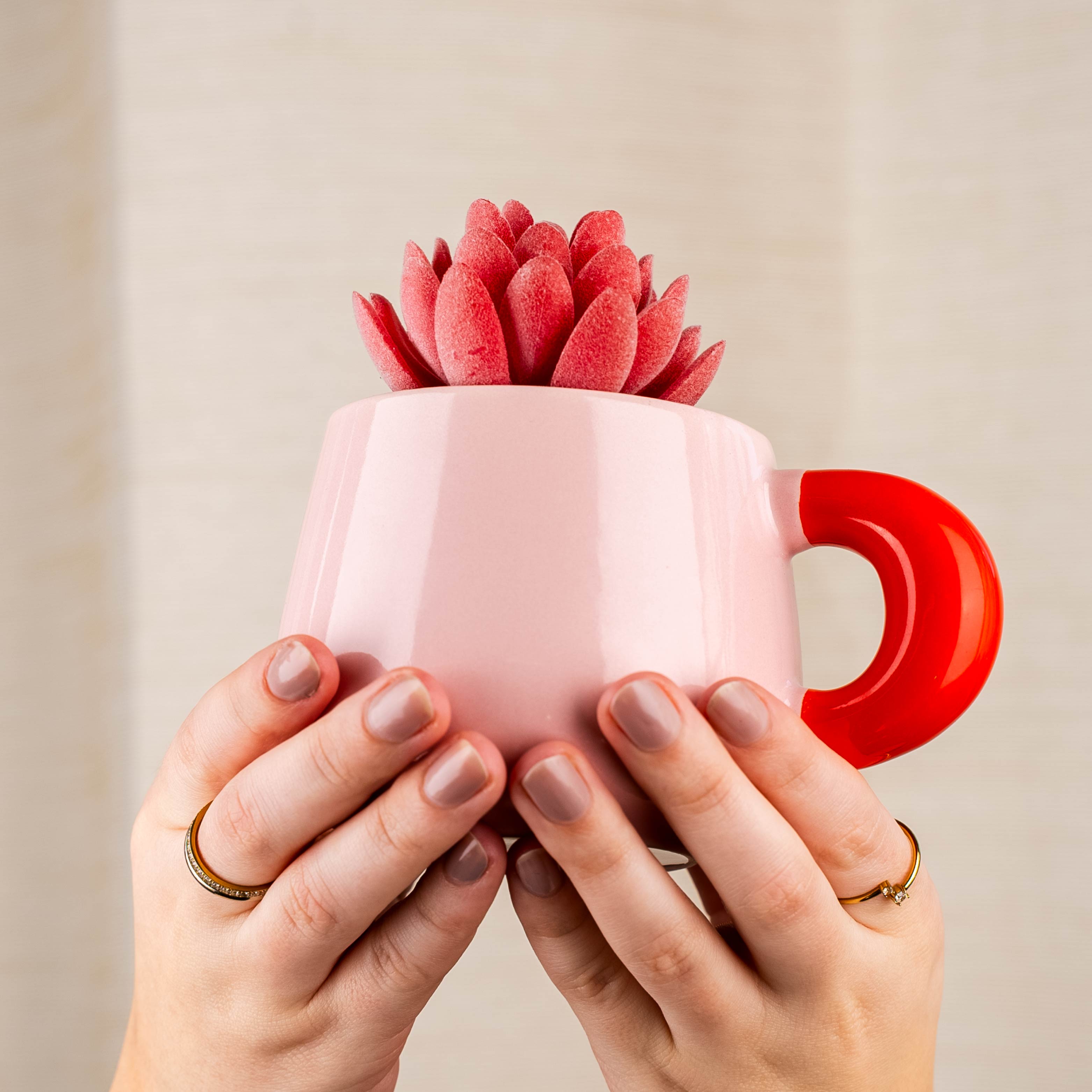 Magnet-Henkel-Pott ROSÉBLUSH