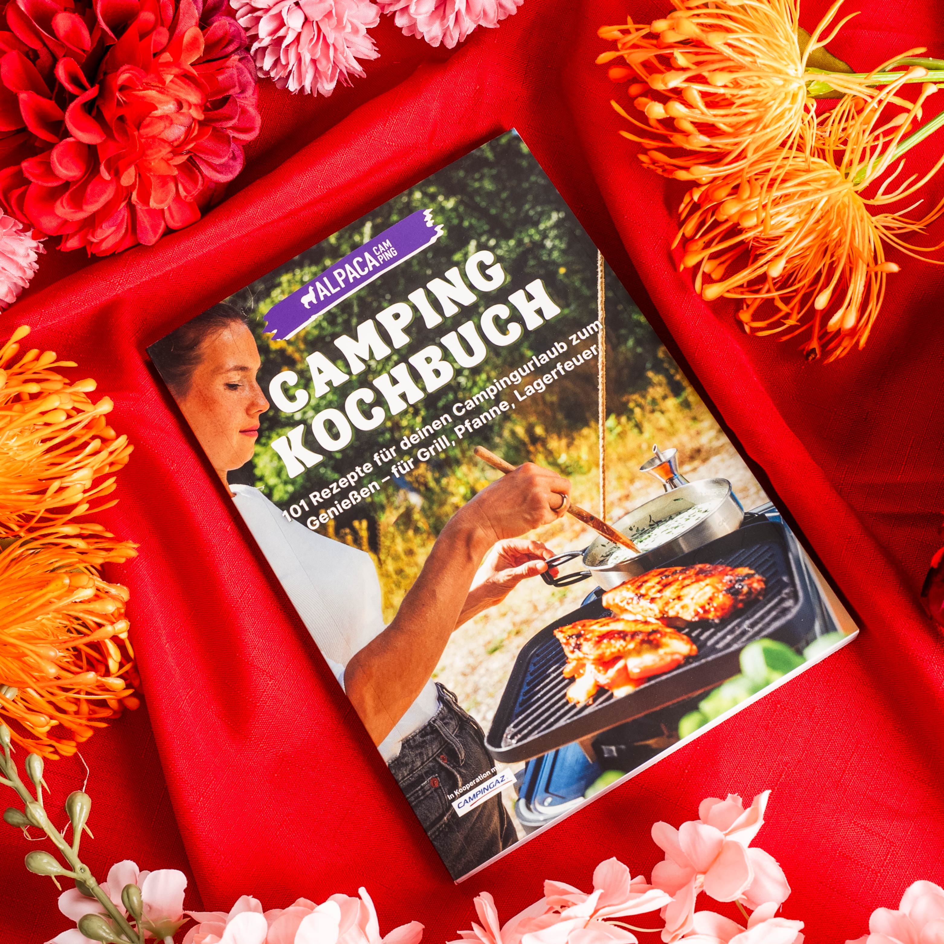 Bicchieri da vino in cristallo magnetico con libro di cucina per campeggio